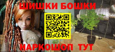 хмурый Кингисепп