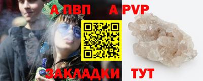 хмурый Кингисепп