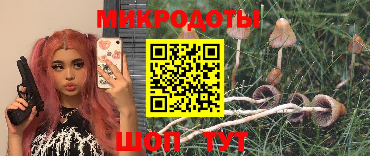 Галлюциногенные грибы ЛСД  Вход с VPN  Псилоцибиновые грибы Psilocybe  Коммунар 