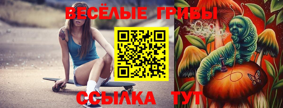 Псилоцибиновые грибы GOLDEN TEACHER Коммунар